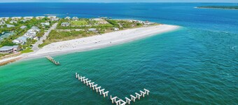 "Palm Bliss" 3 bed 2 bath stylish and cozy