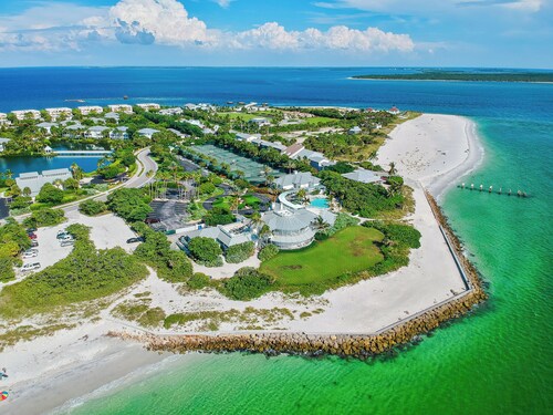 "Palm Bliss" 3 bed 2 bath stylish and cozy