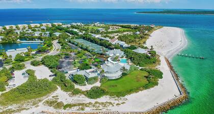 "Palm Bliss" 3 bed 2 bath stylish and cozy