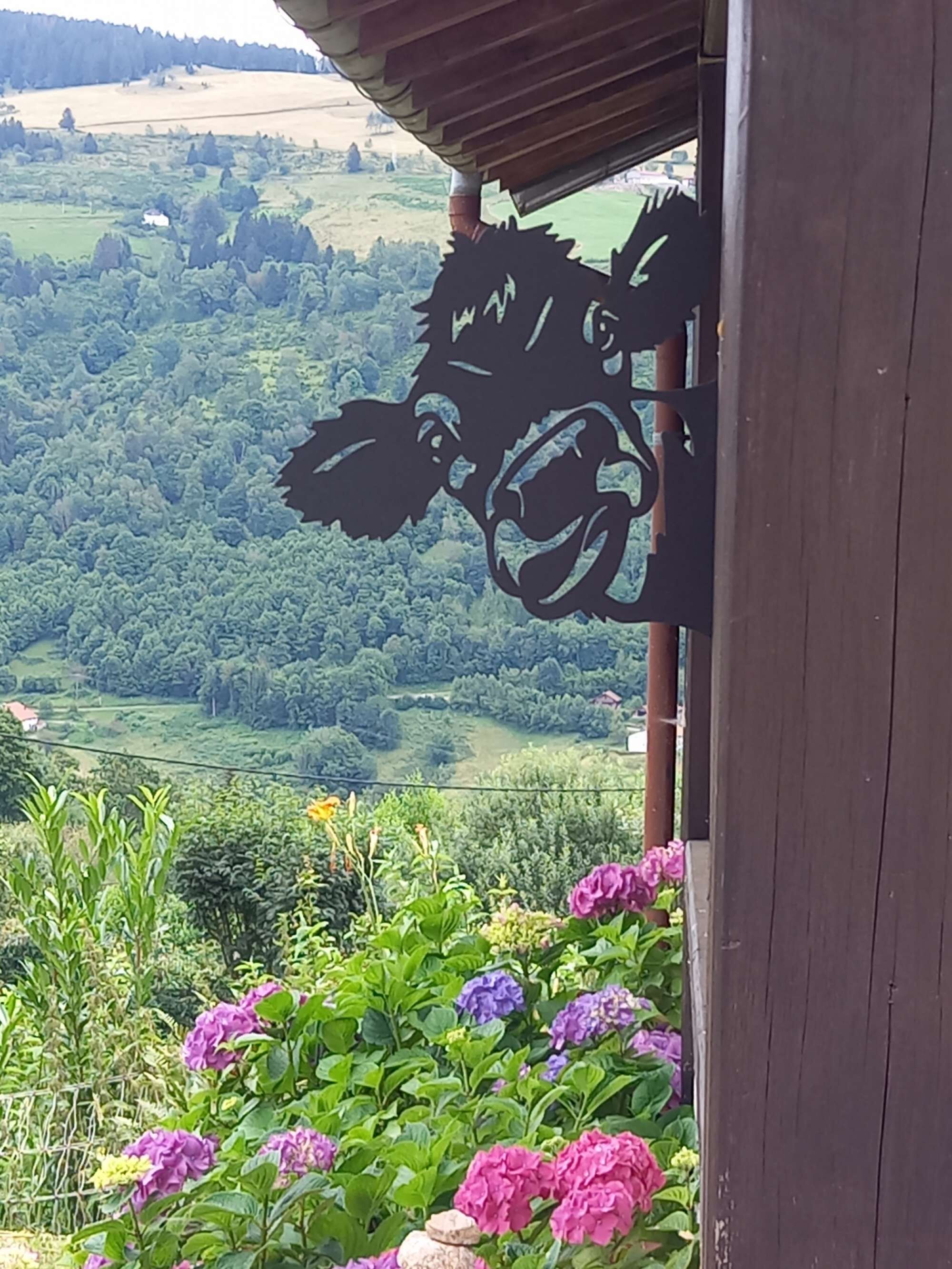 Details aan de buitenkant