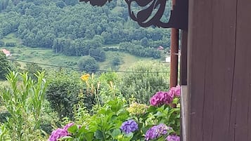 DĂ©tail de lâextĂ©rieur