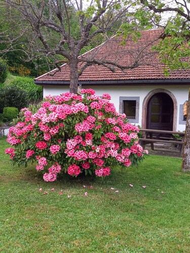 Authentique ferme vosgienne, sauna et jolie vue