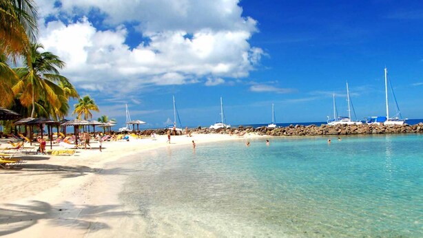 A beach with clear turquoise water, white sand, and palm trees. There are several sailboats docked near the shore. - Coconut Lodge - Marina des Trois-ilets-T1 (Les Trois-Îlets)