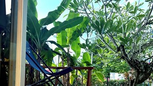 A wooden deck with a metal railing, surrounded by lush green foliage and a clear blue sky. - Coconut Lodge - Marina des Trois-ilets-T1 (Les Trois-Îlets)