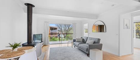 Smart TV, fireplace, books