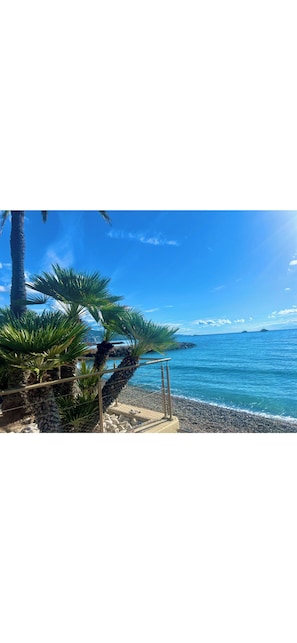 Beach - Santa Monica : Monaco :7mn, Italie: 5mn, appt 44 m2 tt confort, vue mer montagne (Roquebrune-Cap-Martin)