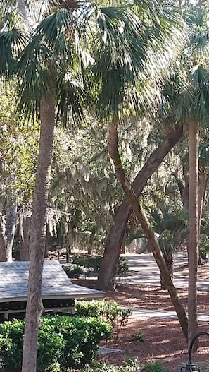 Enceinte de l’hébergement