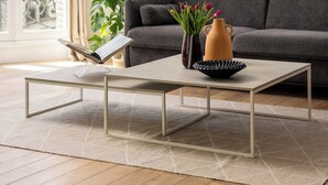 Un salon moderne avec un canapé, une table basse, une plante en pot et un luminaire suspendu.