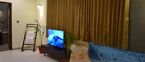 A living room with a television, a potted plant, a ladder, and a tiled wall.