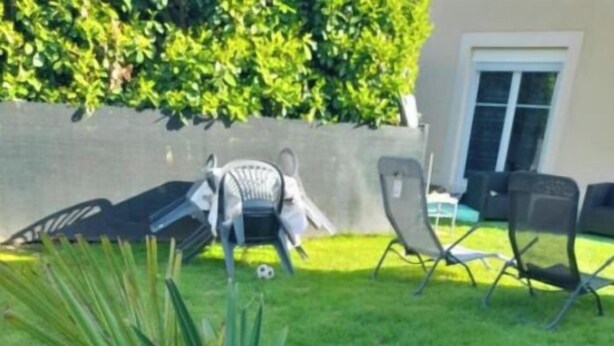 A potted palm plant in a gray pot on a grassy lawn with a patio chair and a small statue in the background. - Family House (Beauvais)