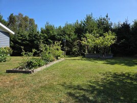 House | Property grounds