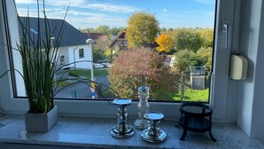 Ein Fenster mit Blick auf ein Wohngebiet, ein Blumentopf und drei Metallgegenstände auf dem Fensterbrett.