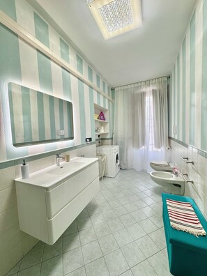 Shower, hair dryer, bidet, towels