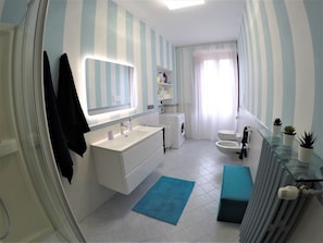 Regadera, secadora de cabello, bidet, toallas