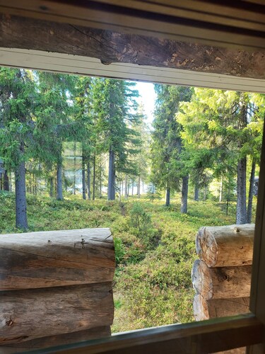 Authentic Lapland Log Cabin, Private Sauna & Fireplace & Northern Lights in Ruka