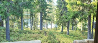 Authentic Lapland Log Cabin, Private Sauna & Fireplace & Northern Lights in Ruka