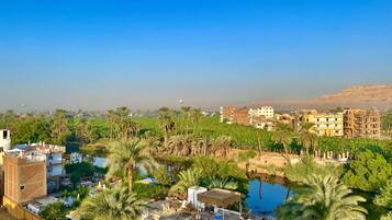 A residential area with a mix of modern and traditional buildings, a body of water, and palm trees.