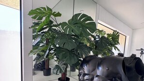 Un baño con un espejo grande, una planta de monstera en maceta y un casco negro en el suelo.