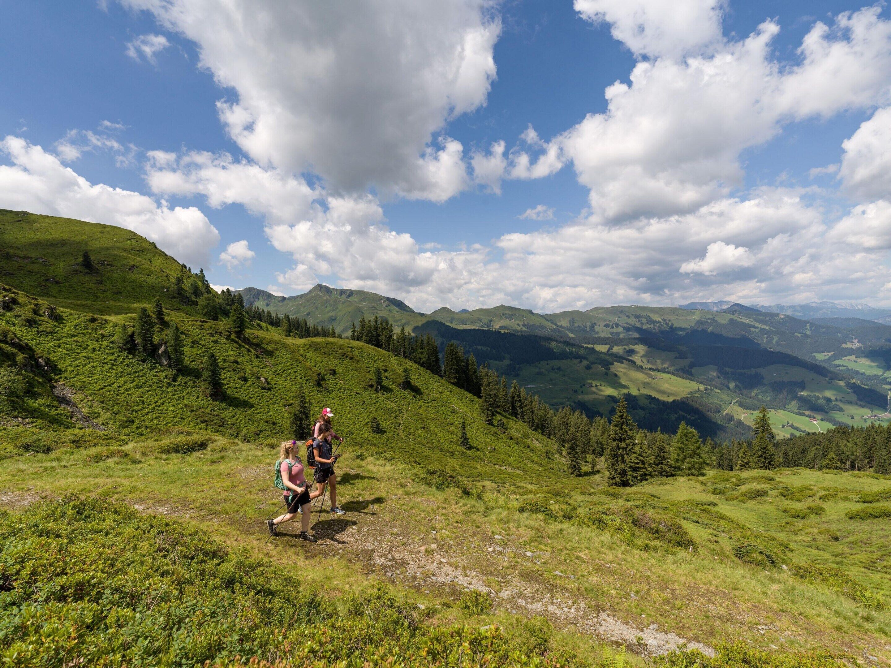 A hiker on a grassy trail with a mountainous landscape in the background.