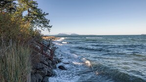 海滩
