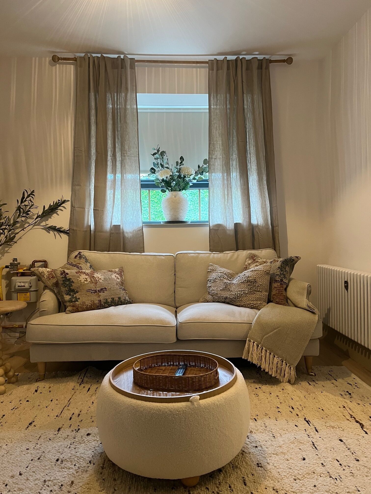 Smart TV, libros, biblioteca musical y estéreo 