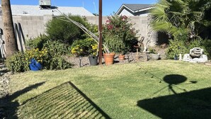Une pelouse bien entretenue, avec l’ombre d’un outil de jardinage projetée sur elle, entourée de différentes plantes en pot et d’un mur de pierre.