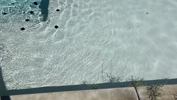 Une piscine à l’eau claire, avec des bouées flottantes et une plage en béton.