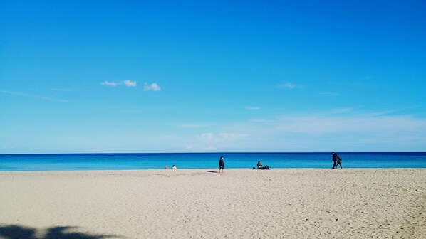 Camastros y toallas de playa 