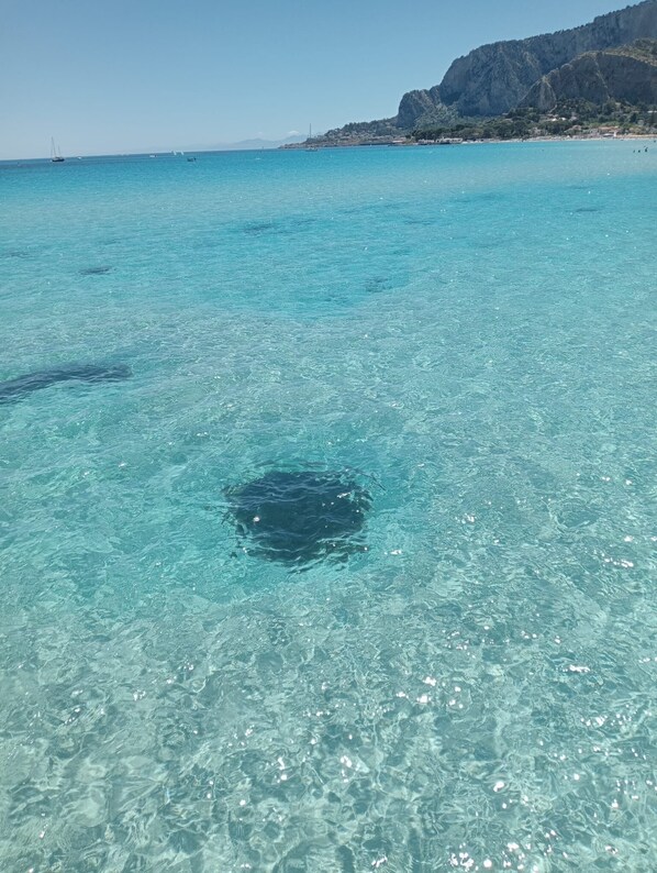 Liegestühle, Strandtücher