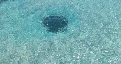 La casa di Gisa&Laura