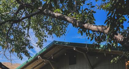 4 Miles to Goldbug Hot Springs • Adventure Cabin with Mountain Views