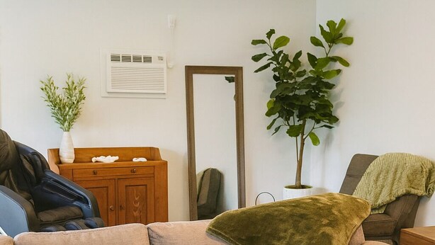 Ein Wohnzimmer mit einem Ecksofa, einem Couchtisch aus Holz, einer Topfpflanze und einem Spiegel an der Wand.