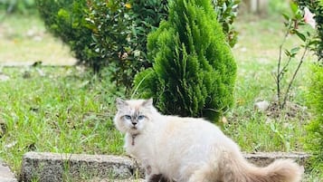 ์ธ๊ด