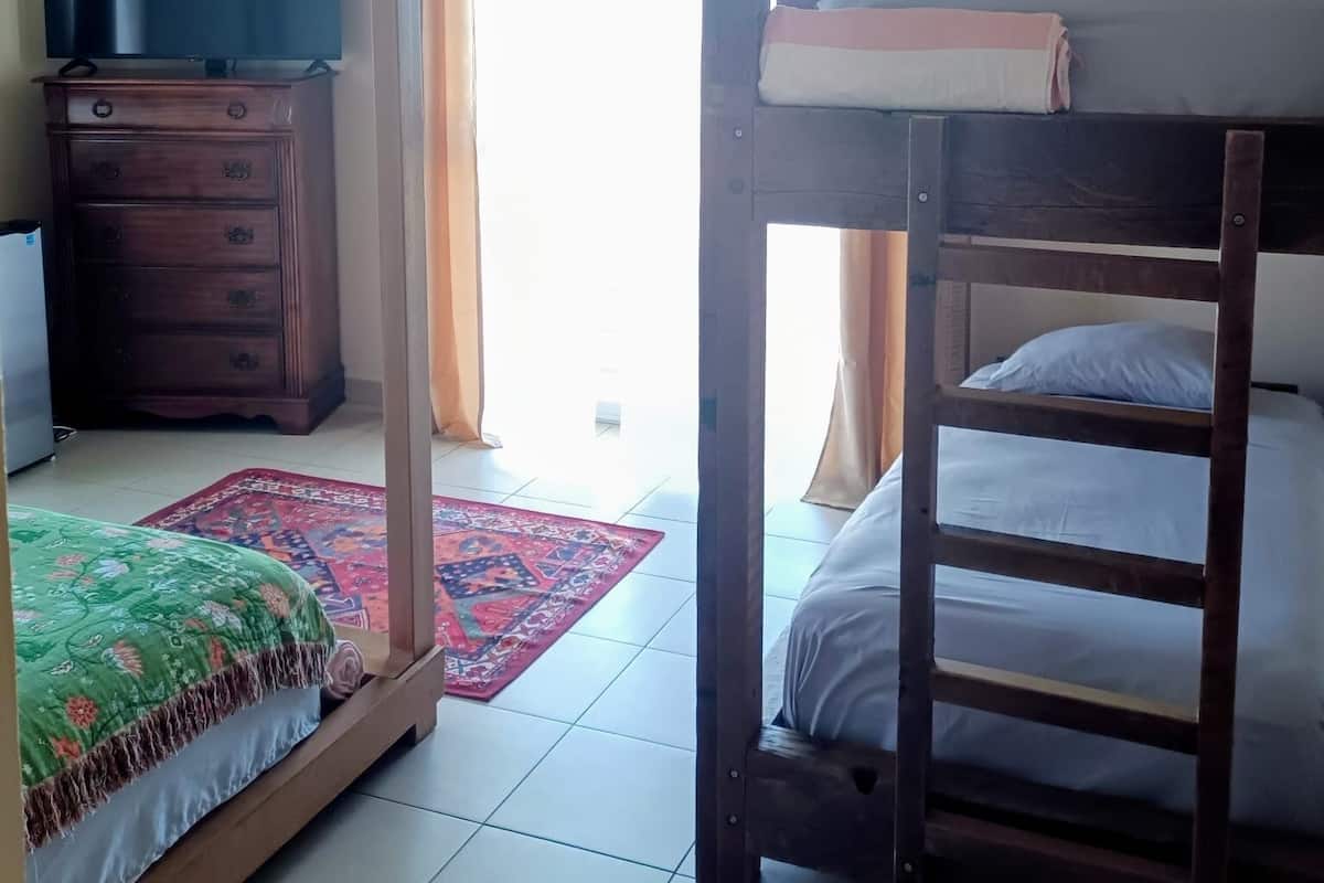 A room with a bunk bed, a television on a dresser, and a patterned rug.