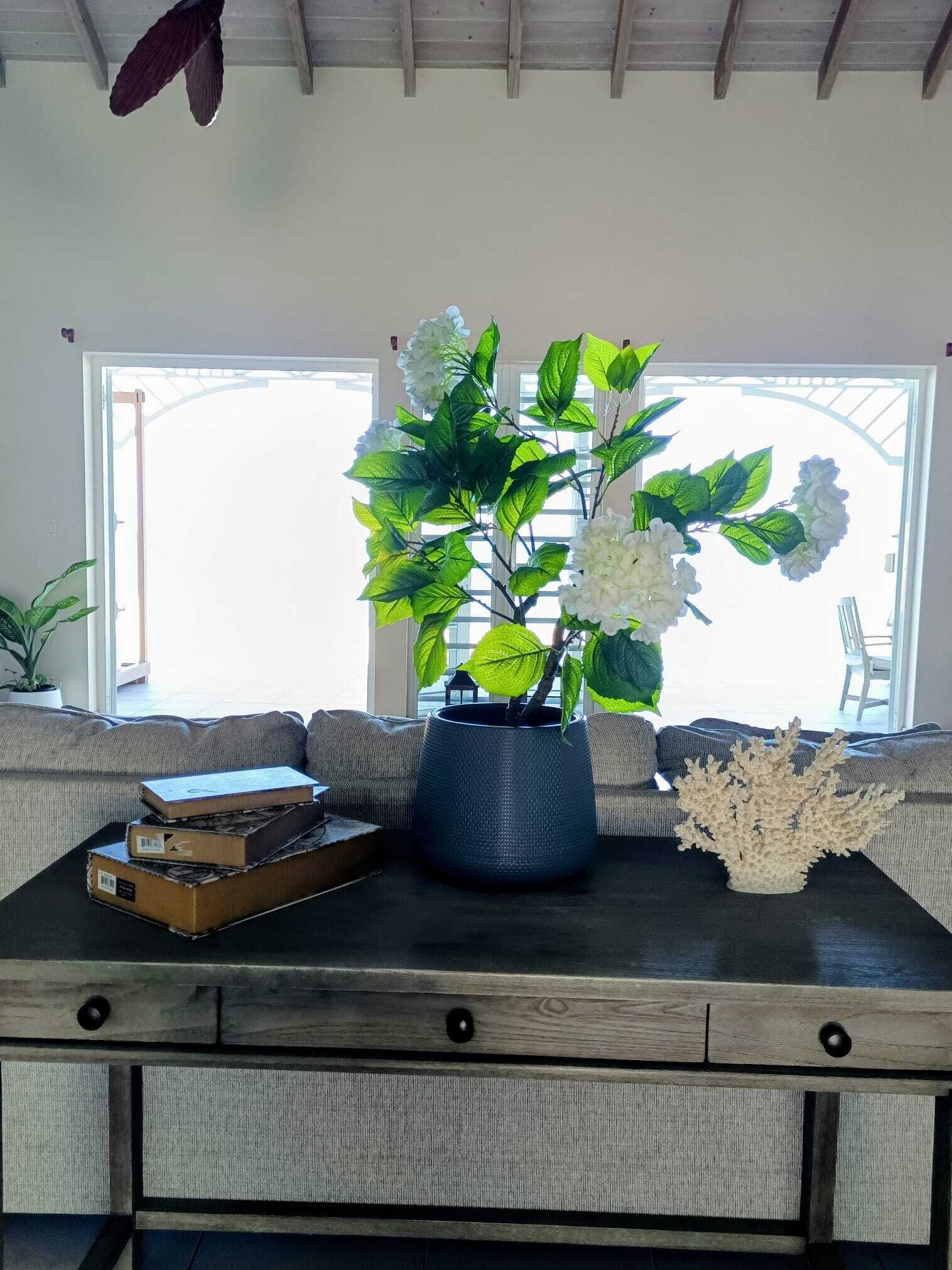 Una sala de estar con sofá, una mesita de centro, una planta en maceta y un adorno de coral.
