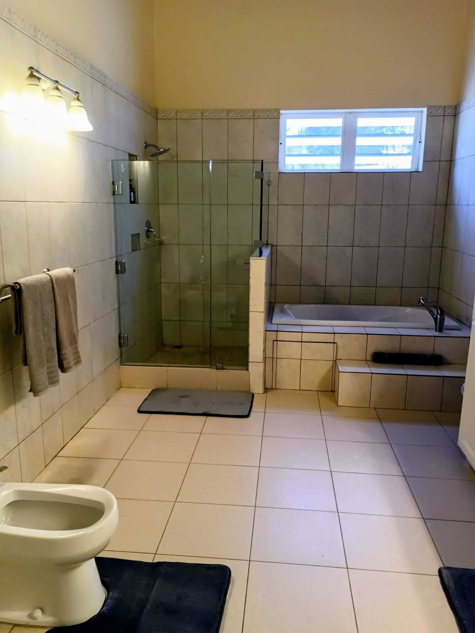 Un baño con ducha, inodoro y bañera.