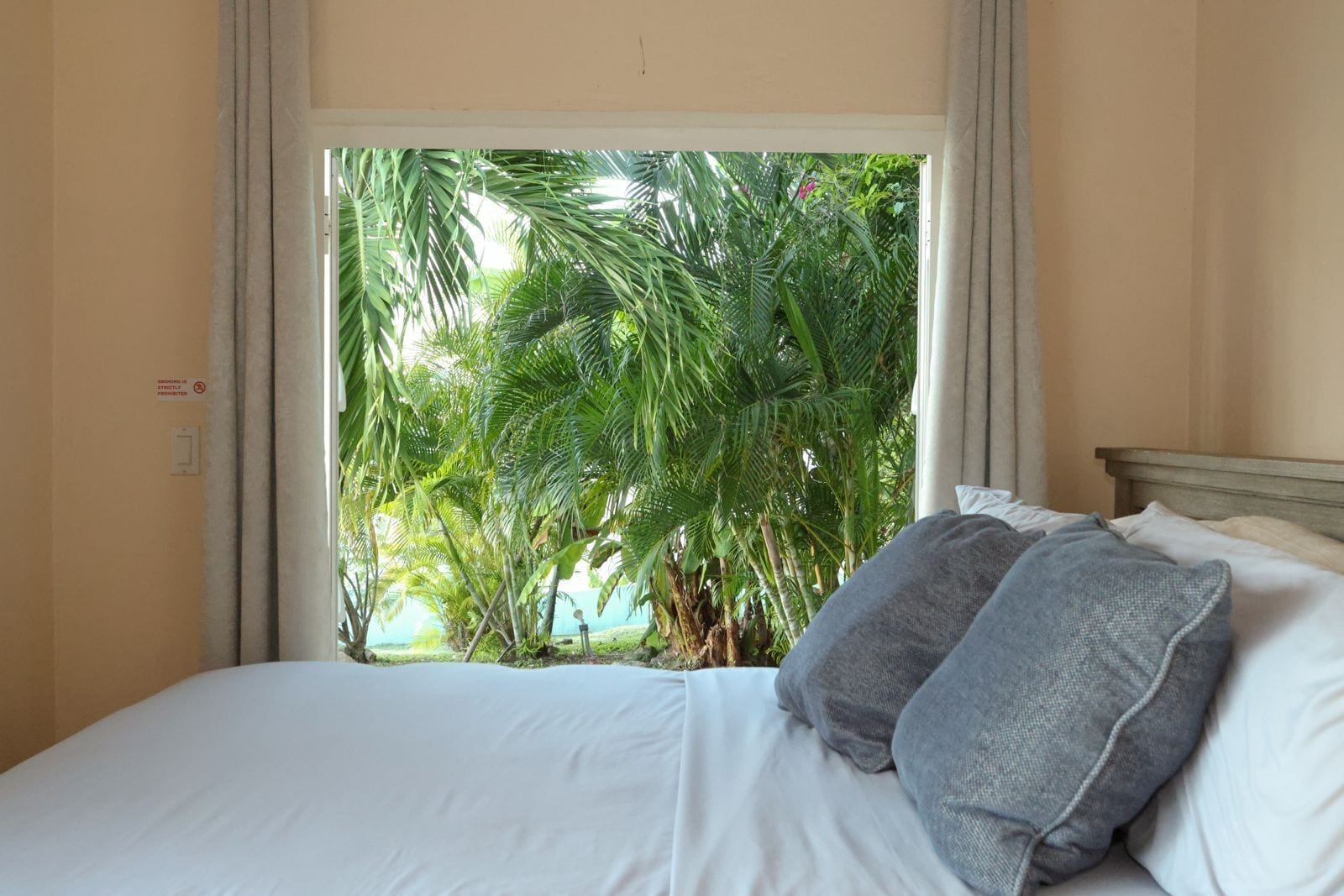 Suite estudio estándar, vista al jardín | Artículos del minibar gratis y escritorio 