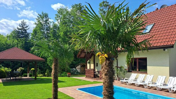 A swimming pool with lounge chairs, a covered patio, and a well-maintained lawn with palm trees.