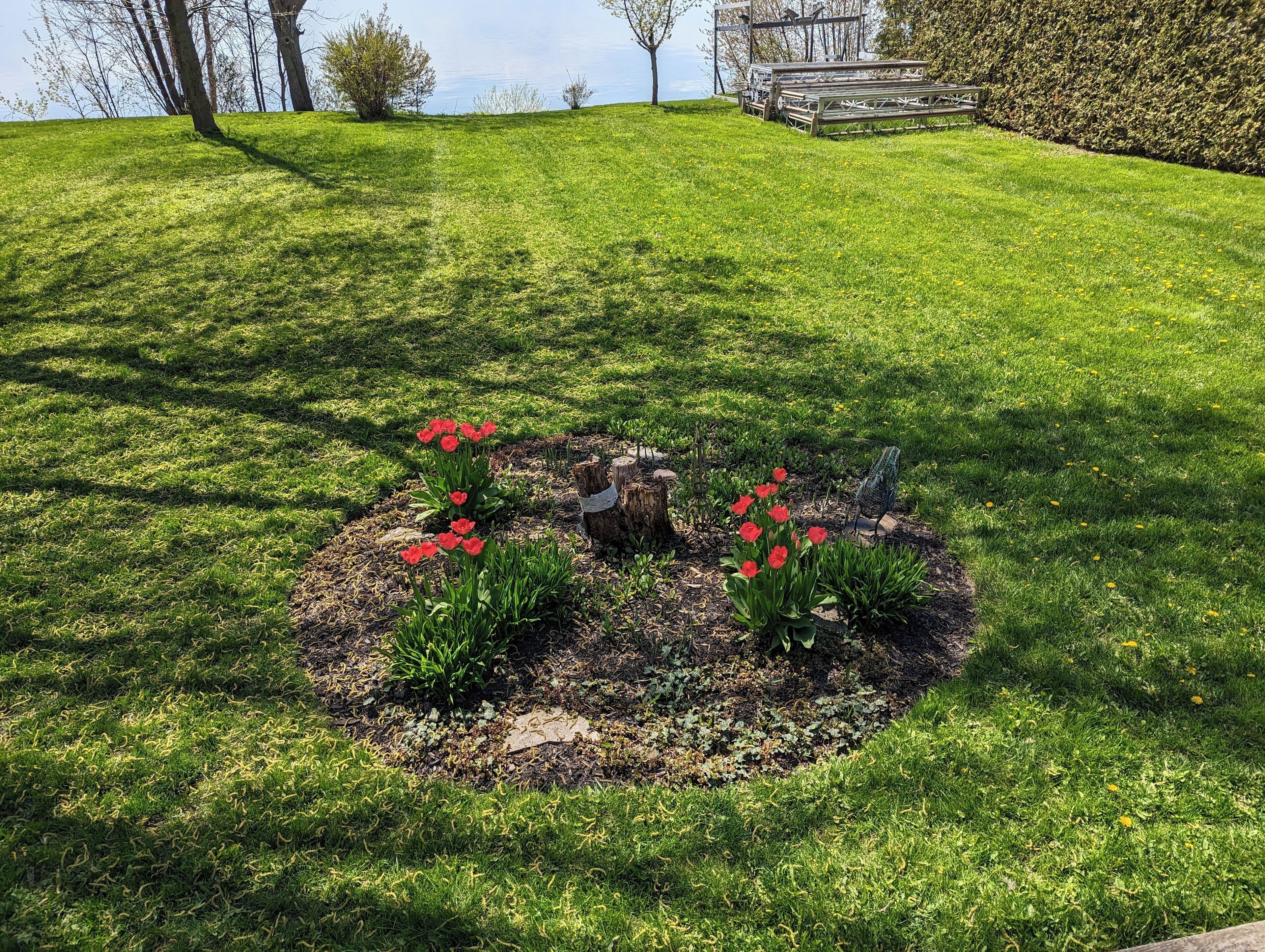 المنطقة المحيطة بالمنشأة