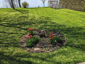 المنطقة المحيطة بالمنشأة