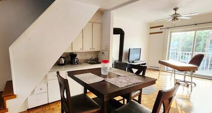 Whole apartment in downtown Longueuil for rent