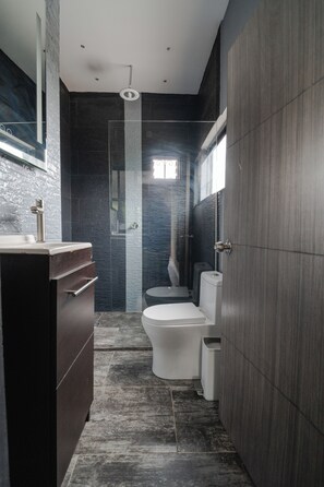 A modern bathroom with a dark tiled floor, a white toilet, a glass shower enclosure, and a wooden vanity with a mirror.