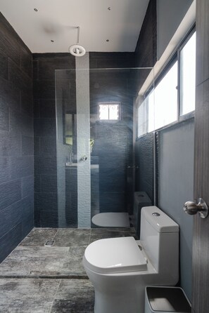 A modern bathroom with a glass-enclosed shower, a toilet, and a bidet.