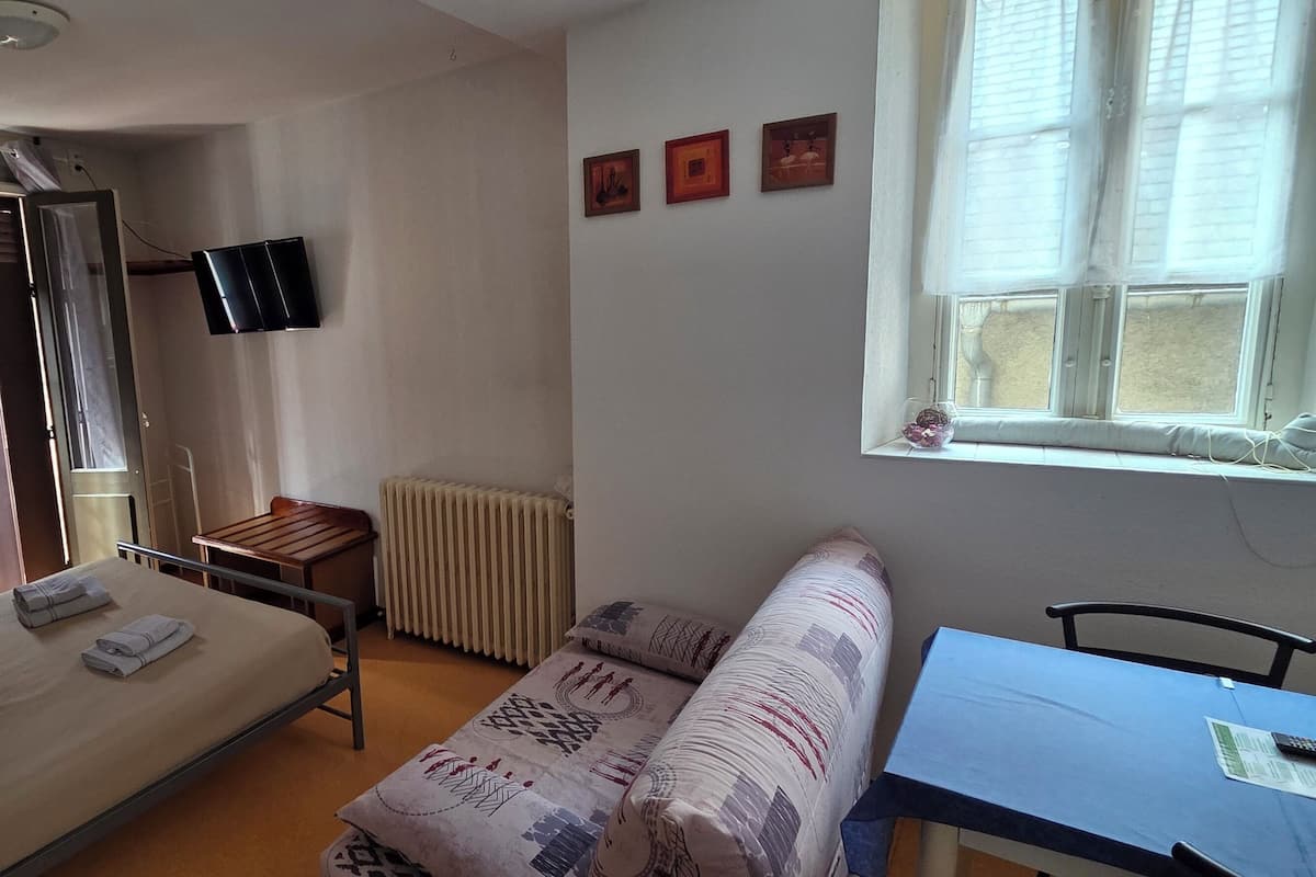 A room with a bed, a small table, a sofa, a radiator, a window with curtains, and a wall-mounted TV.