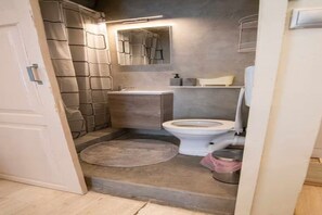 Shower, towels, soap, toilet paper