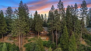 A cabin surrounded by tall pine trees, with a deck and outdoor seating area.