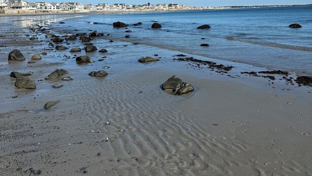 Una playa con rocas dispersas y un cielo azul despejado.