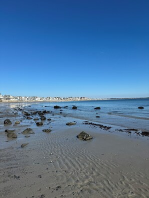 Une plage parsemée de rochers, sous un ciel bleu et dégagé.