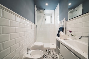 Douche, séchoir à cheveux, bidet, serviettes fournies
