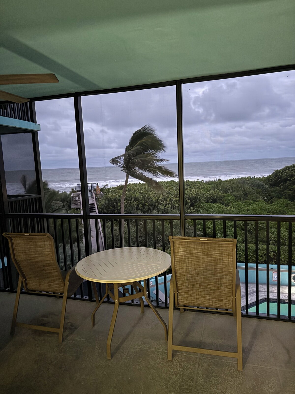 Imagen de perfil del propietario o de la propietaria